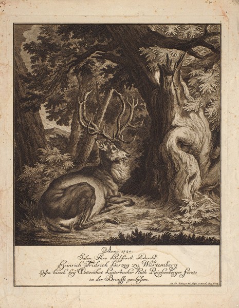 Ридингер Иоганн Элиас (1698—1767) «Олень под деревом». Вторая четверть XVIII века. Бумага, резец, 42,2 х 33 см (лист), 35,8 х 28,1 см (оттиск).