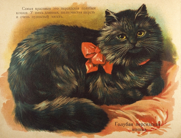 Кошки разных стран. 2-е изд. М.: Издание И.Д. Сытина, 1916.