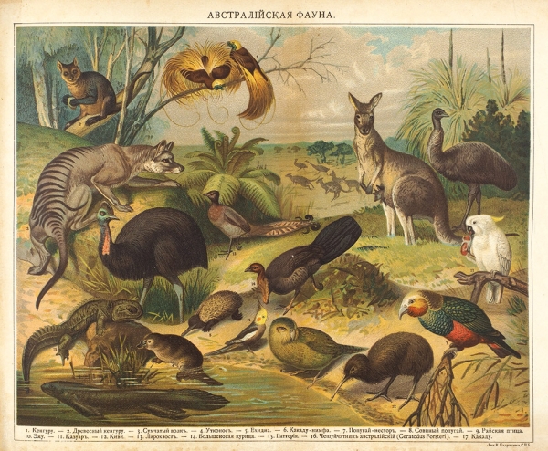Брэм, А.Э. Жизнь животных. В 3 т. Т. 1-3. СПб.: Изд. П.П. Сойкина, 1902.