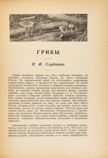 Календарь русской природы на 1916 г.