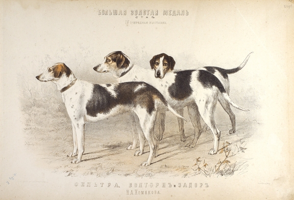 [«Загадочный альбом»] Мартынов, Н. Портреты собак. М.: Лит. К. Эргот, 1880.