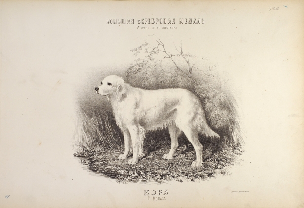 [«Загадочный альбом»] Мартынов, Н. Портреты собак. М.: Лит. К. Эргот, 1880.