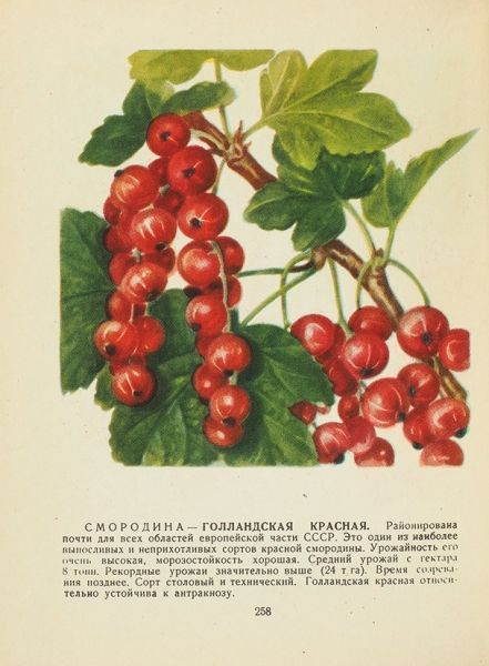 Лучшие сорта плодово-ягодных культур. М.: Министерство сельского хозяйства РСФСР, 1957.