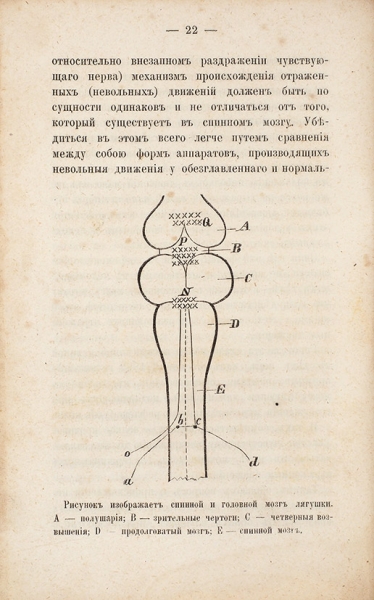 [Прижизненное издание] Сеченов, И.М. Рефлексы головного мозга. 2-е изд. СПб.: Тип. К.В. Трубникова, 1871.
